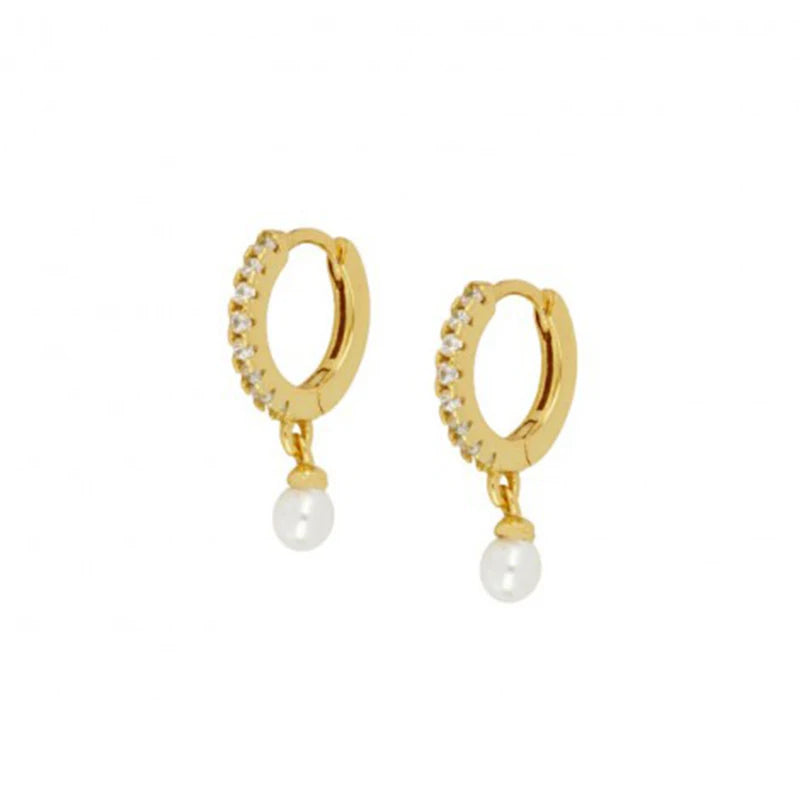 Link Hoops